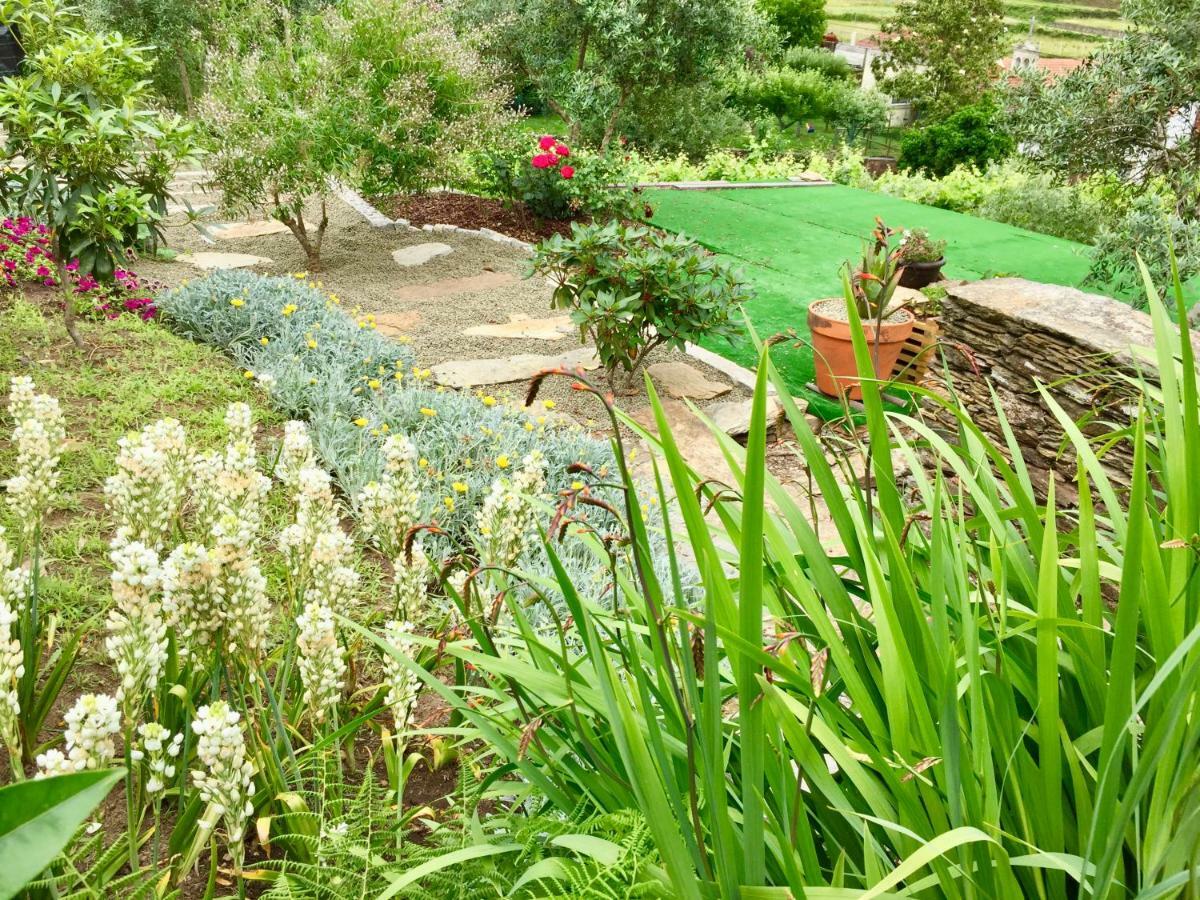 Casa Lia Da Porta Villa Caminha Ngoại thất bức ảnh