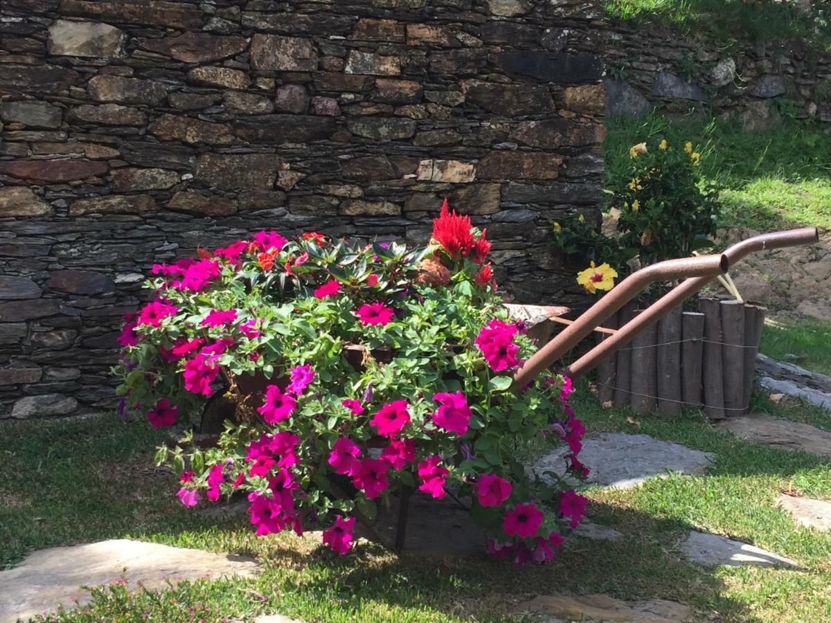 Casa Lia Da Porta Villa Caminha Ngoại thất bức ảnh